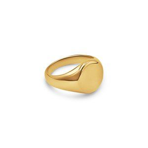 14K Gold Plated Stainless Steel Signet Ring
